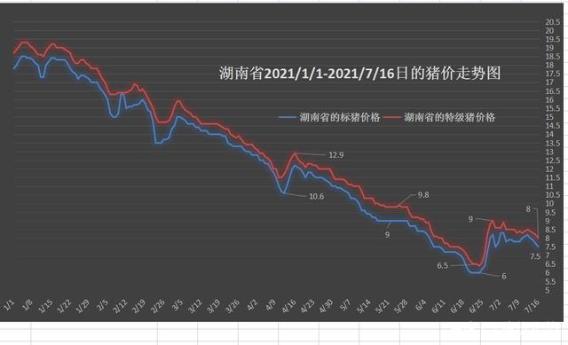 湖南今日猪价行情分析与早期动态概述