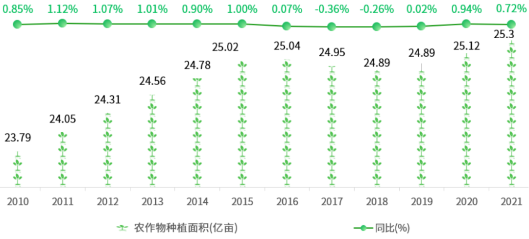 农业粮食最早情况深度探究与解析